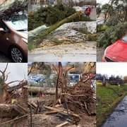 Bouře se prohnala Českem, silný vichr vyvrací stromy