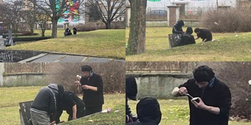 Chtěli byste si jít posedět na lavičku v parku, co třeba na tuhle?