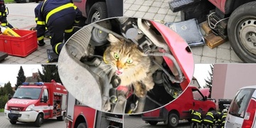 Záchrana kočky uvízlé v řemenu motoru