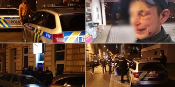 Rvačky, bitky a střelba z plynovky