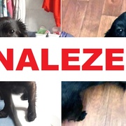 Izabela je již zpět u své milující rodiny