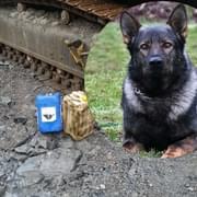 Zloděje nafty zadržel policejní pes Pret