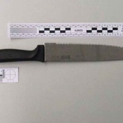 Šestnáctiletý chlapec podle policie připravoval vraždu