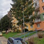 Lidská hyena přepadla a zranila třiaosmdesátiletou ženu