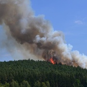 Rozsáhlý lesní požár, hasiči už nasadili i vrtulník