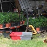 Nejen pervitin, ale i pěstírna v Měcholupech, opět zasahoval TOXI TÝM