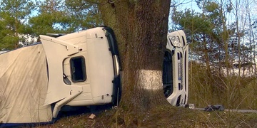 Kamion se doslova "zakousl" do stromu