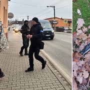Mimořádně zpackaná loupež na poště aneb jak pan D. V. vstoupí do dějin kriminalistiky