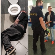 Medvěd a jemu podobní prakticky ovládají nádraží
