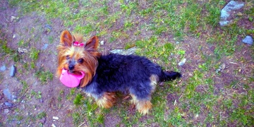 Neviděli jste Kelu? NALEZENA!