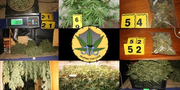 Toxi tým zlikvidoval rozsáhlou pěstírnu produkující desítky kilogramů marihuany