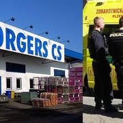 Lis v Borgersu zřejmě muži amputoval ruku