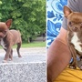 Teprve půlroční Atrej se ztratil a rodina nyní moc prosí o pomoc s jeho nalezením
