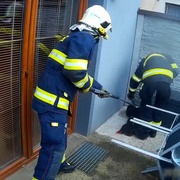 Užovce zkazili oběd, žábě zachránili život