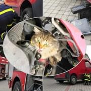 Záchrana kočky uvízlé v řemenu motoru