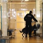 Fakultní nemocnice v Plzni posiluje ostrahu