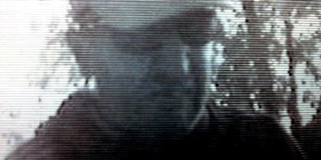 Poznáte zloděje z Plánska?