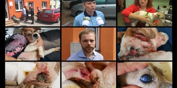 Kriminalisté obvinili „Šíleného medika“ – hrozí mu až šest let