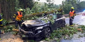 Pád stromu na jedoucí auto