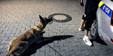 Gratulujeme k dalšímu úlovku Fuzzy!