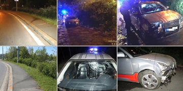 Někdo v Plzni na Rondelu naučil audinu létat