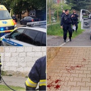 Muže na Slovanech potrhal pes