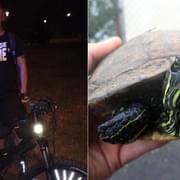 Opilý cyklista i nalezená želva