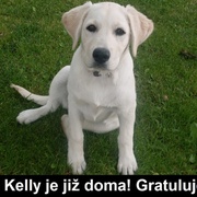Malá Kelly je již doma! Gratulujeme rodině k návratu miláčka.