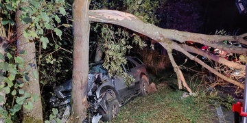 Náraz do stromu řidič nepřežil