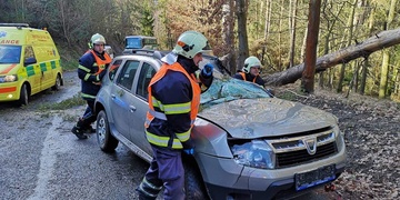 Strom spadl na projíždějící auto