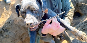 Max je z nory venku!