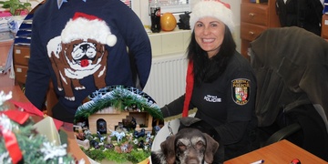 Díky Vám všem v Útulku a krásné Vánoce