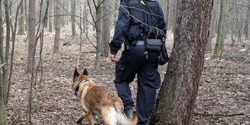 Vykradli zámek v Dolní Lukavici