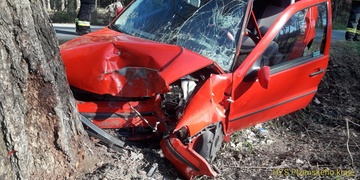 Mladý řidič narazil do stromu