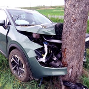 Řidičce prý do cesty skočil strom, pak se to vysvětlilo, nadýchala více než čtyři promile