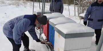 Napadlo by vás, že vězni pilně včelaří?