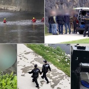 Kriminalisté již ví, komu patřila lidská hlava nalezená v centru Plzně