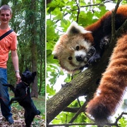 Pandí kmotr Josef