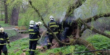 Požár v Borském parku
