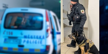 Předávkování léky způsobilo ženě vážné zdravotní obtíže