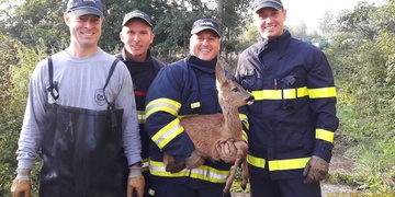Hasiči zachraňovali srnče