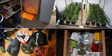 Je libo marjánku ze žumpy?