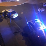 Řidič zbaběle opustil svého psa - Kokršpaněl je teď v útulku