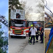 Jak se zachraňuje Ricky Flint