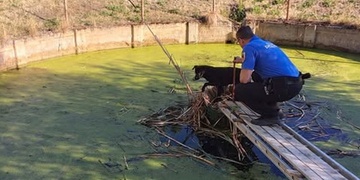 Malý chlupatý průzkumník uvízl ve vodní nádrži