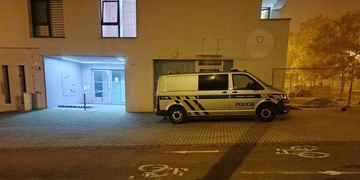 Vražda v Plzni a pokus o vraždu v Třemošné