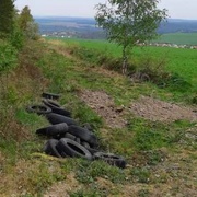 Policisté pátrají po svědcích prasáctví u Bušovic