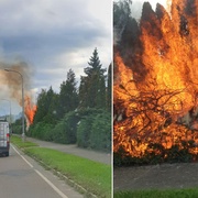 Požár stromů u rodinného domu