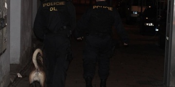 Zloděje hned po krádeži zadrželi policisté