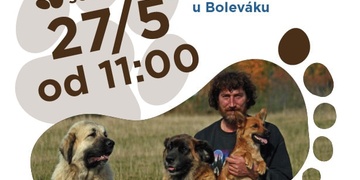 Milujete psy? Nenechte si ujít: Akce Pes - přítel člověka